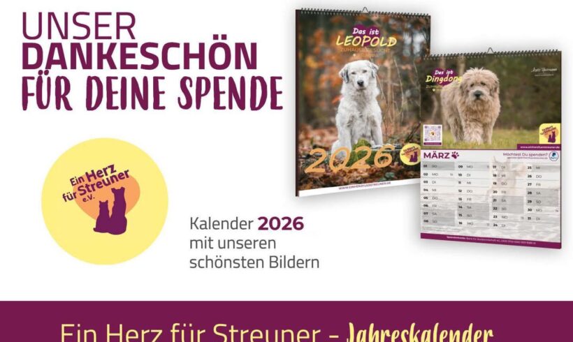 Streuner Jahreskalender 2026! Streuner Jahreskalender 2026!