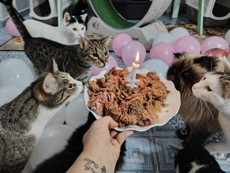 WhatsApp Image 2025-10-27 at 08.38