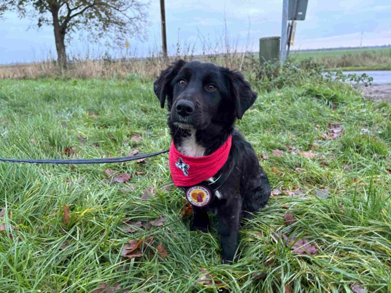 WhatsApp Image 2026-01-09 at 11.04