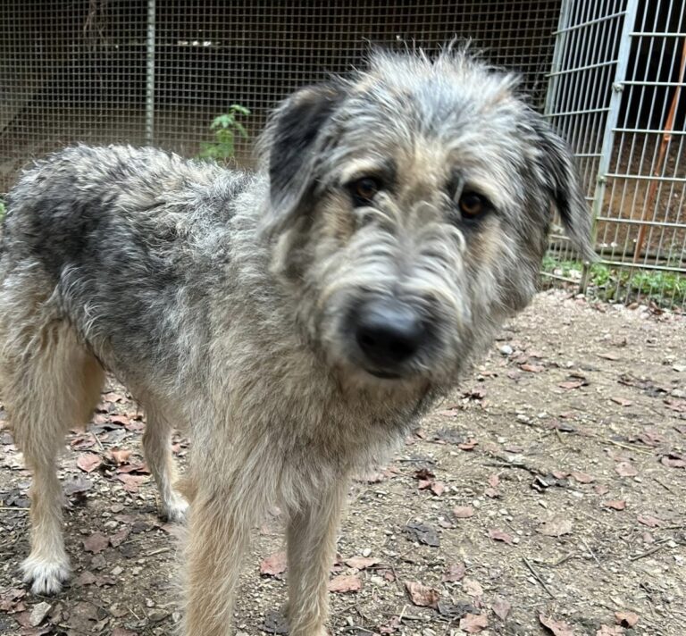 a8693b20-356b-42c3-84e7-c234fa0a56ac