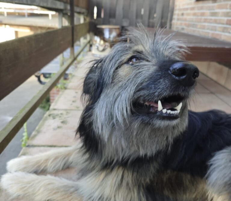 be68d1ac-bf0f-485a-ac97-abd388854cb0