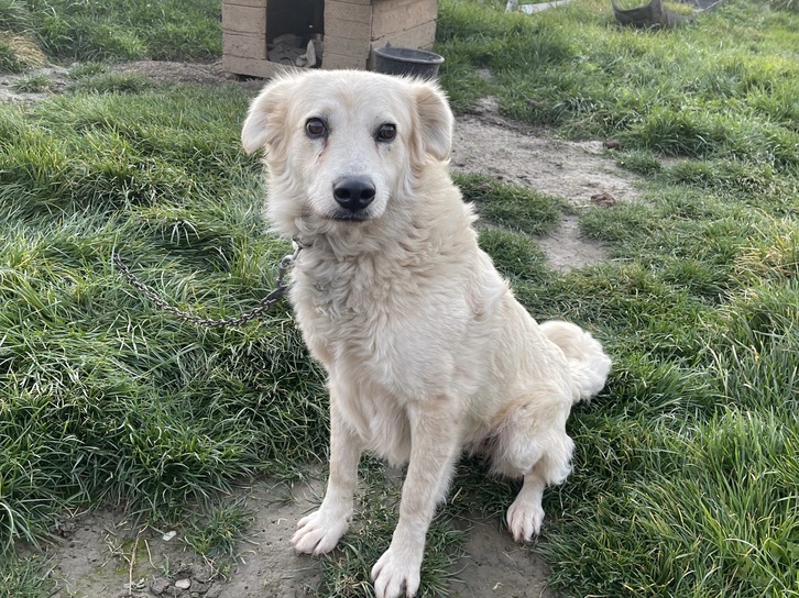 c953eeed-e2ab-4f2f-9bf4-ac9f6d88de8b