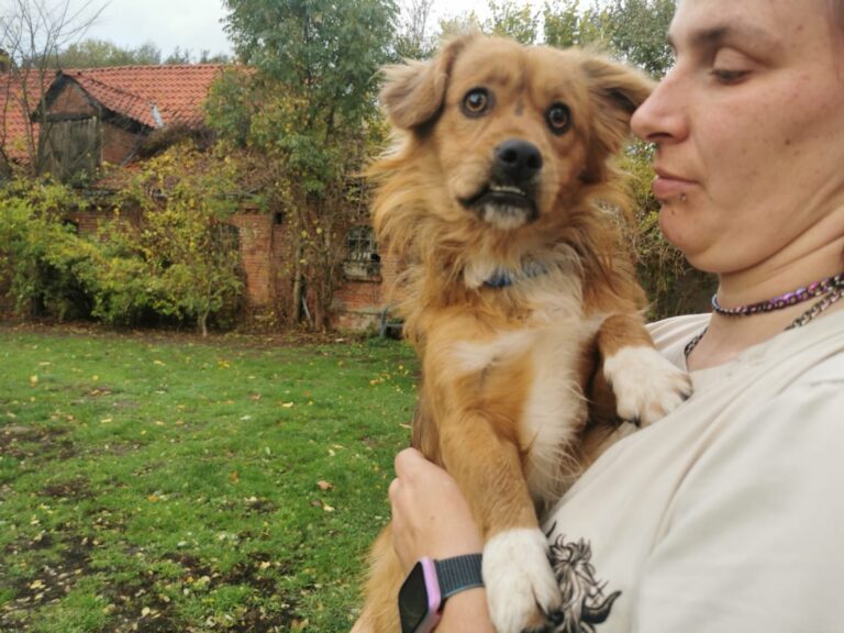 d4082563-8660-4efd-9b00-4562687de850