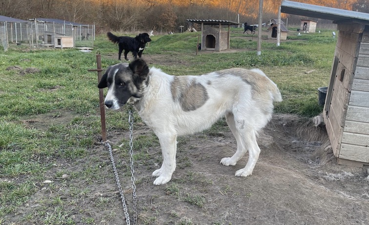 e175924a-b2b3-498e-977c-a2c7d1cb2a37