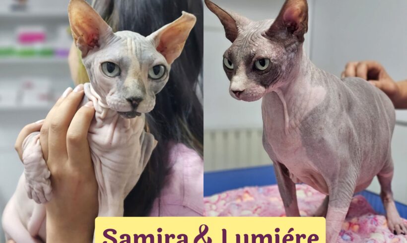 SAMIRA&LUMIERE