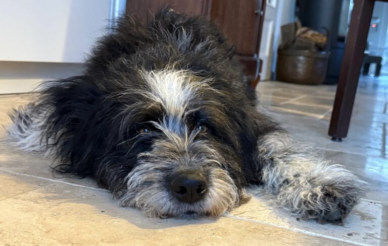 fe5eb7df-66d4-4982-ac10-764c9486ccd5