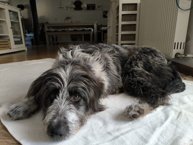 066f282f-62a2-4048-bad8-a9bba2e0e314