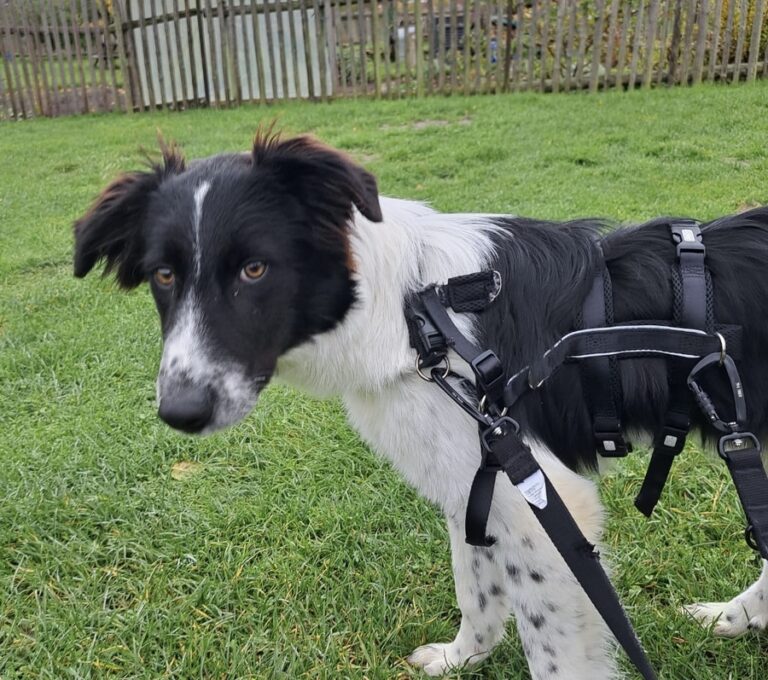 259a9f64-bf79-4073-89bf-448e970b75c2