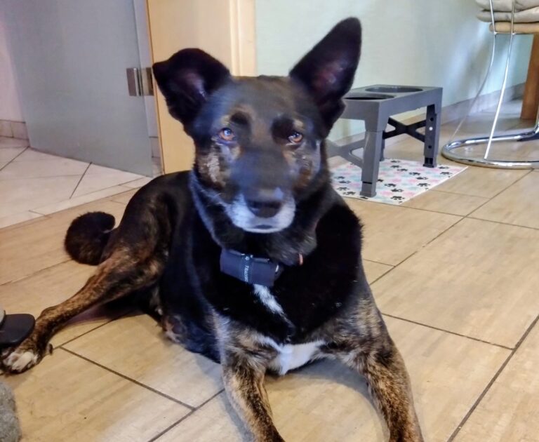 421d2de7-485b-46bf-ac8f-3e8de202c3f3