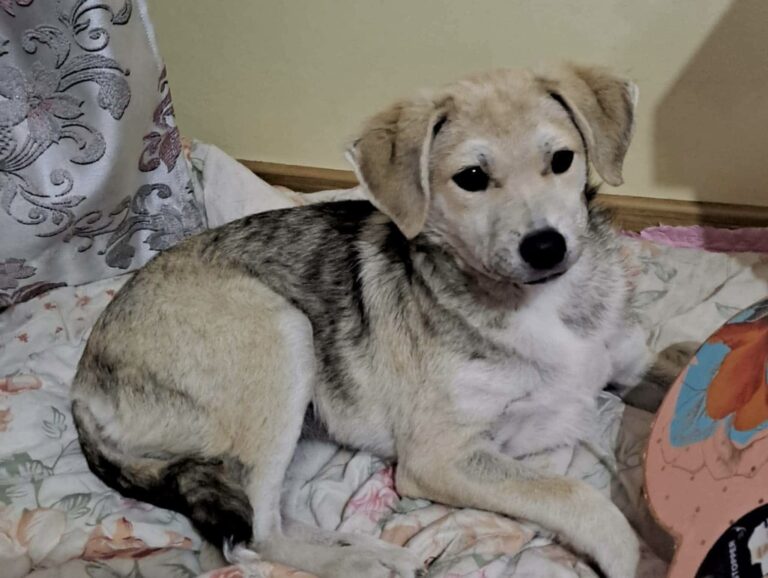 483bb734f0e7c0eb580af165130658b9