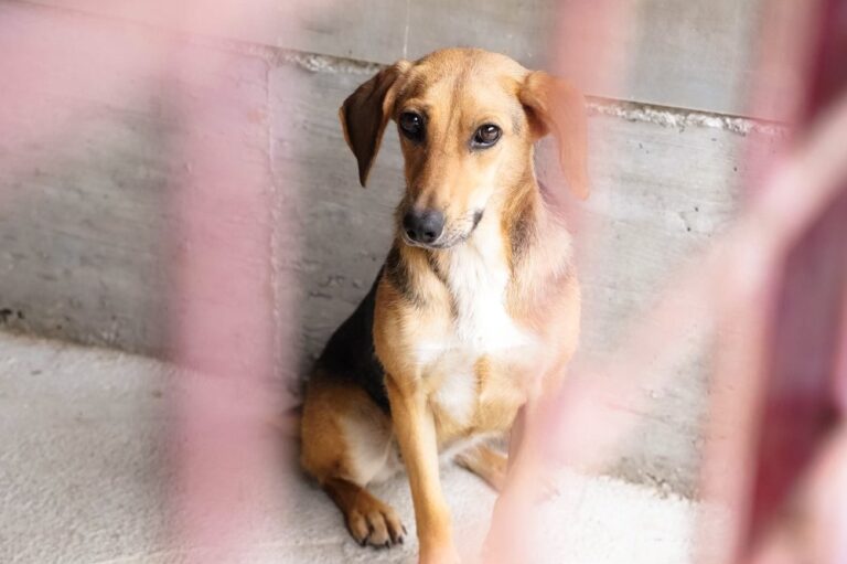 528050395_122134660670812415_5209879102942954474_n