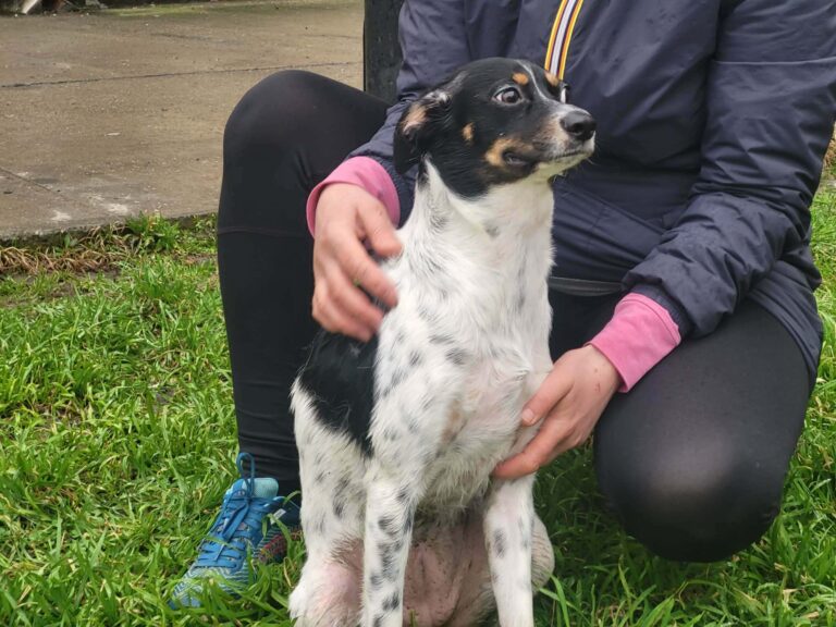 52b2f501-3efe-4853-929d-e256fc56099d