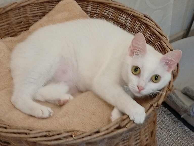 547297133_4061437867501774_4662027335778979388_n