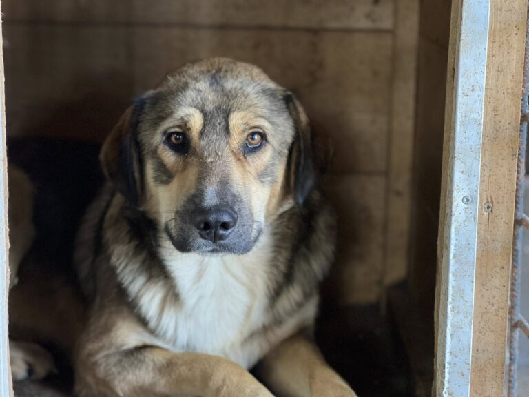 547735838_24801729056143654_158426680530566982_n