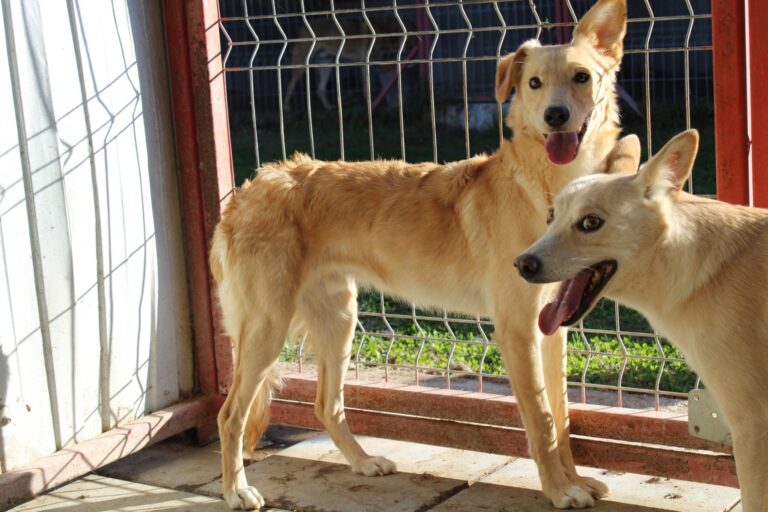 553259705_24577575785268178_7969932297510333896_n