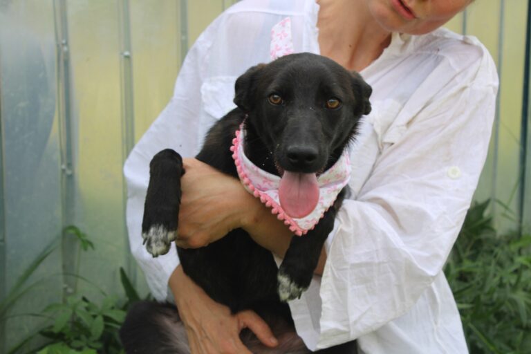 560466540_24711546628537759_5715492026691324879_n