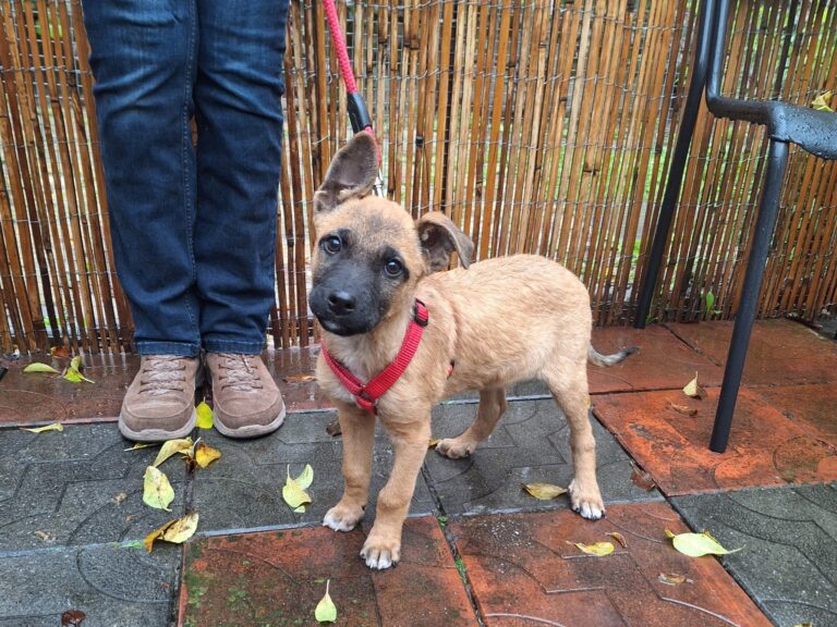 561729908_2992655444263566_3958341058765211525_n