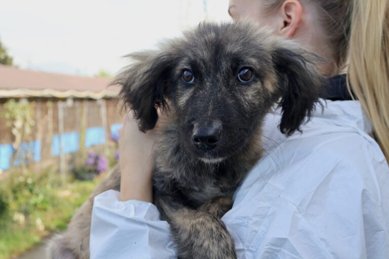 565197723_1155216513234497_8921227916186873800_n