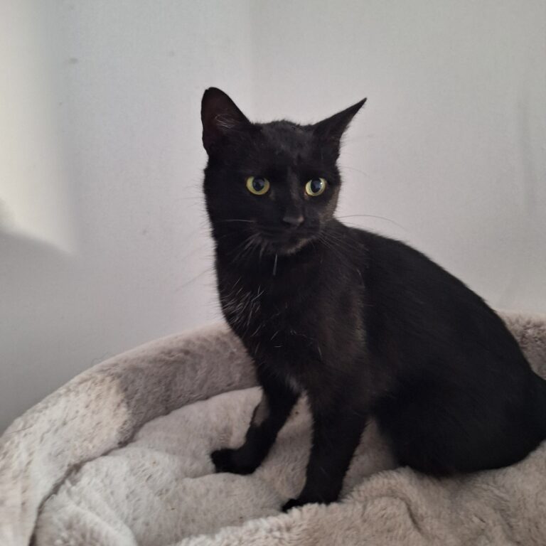 565749700_3000006746861769_6075700937276775483_n