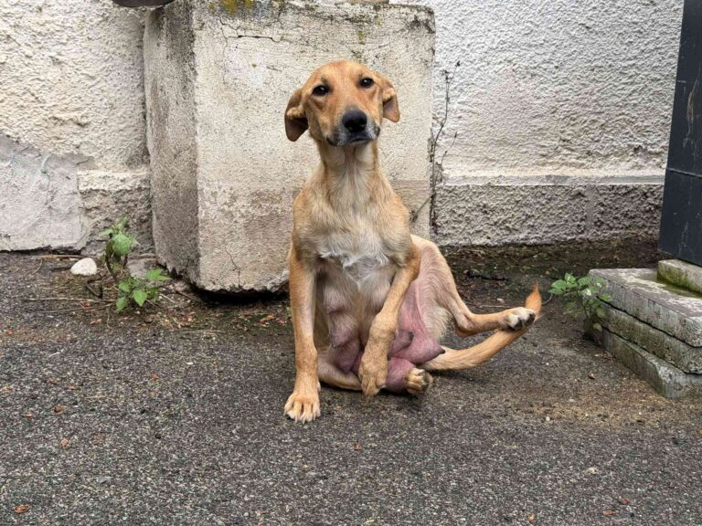 565898871_10162472677094825_491098225326629619_n