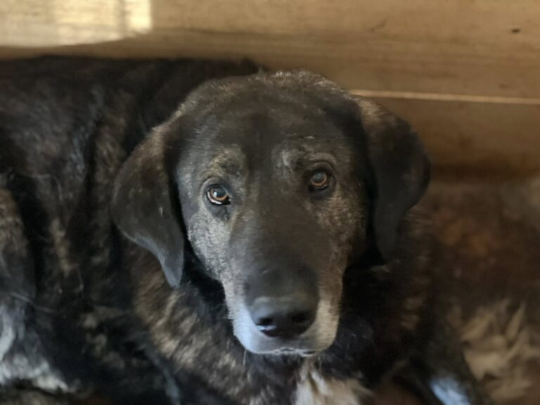 566201303_24801742036142356_8879385613607832252_n