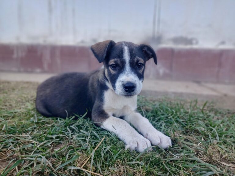 566205881_1893035434958903_7440401678488923648_n