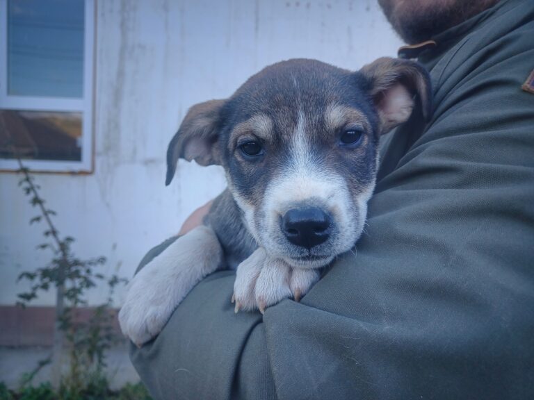 566354576_1893019651627148_2567484798929773700_n