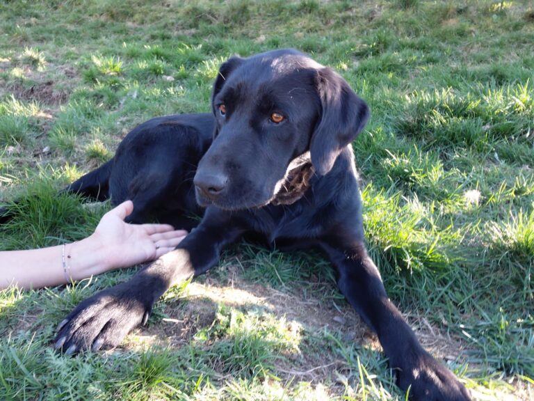 566368863_122216987018122691_559443966064013114_n