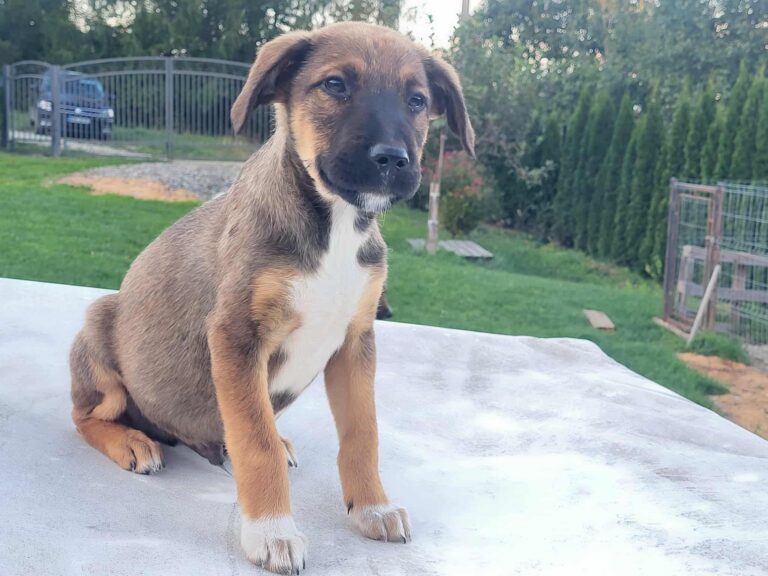 567299827_24067686526240069_3012109373205103978_n