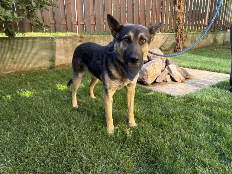 568504501_24838398605852560_2235084115541425628_n