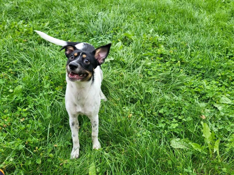 568555767_24070373682638020_3255463034747158865_n