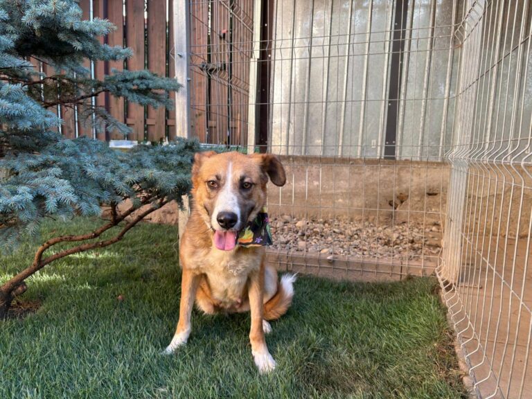 568642087_24838399625852458_2271230671201219425_n