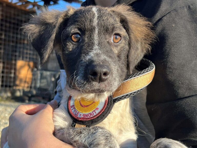 569209457_4101247226791748_3921726323311992313_n