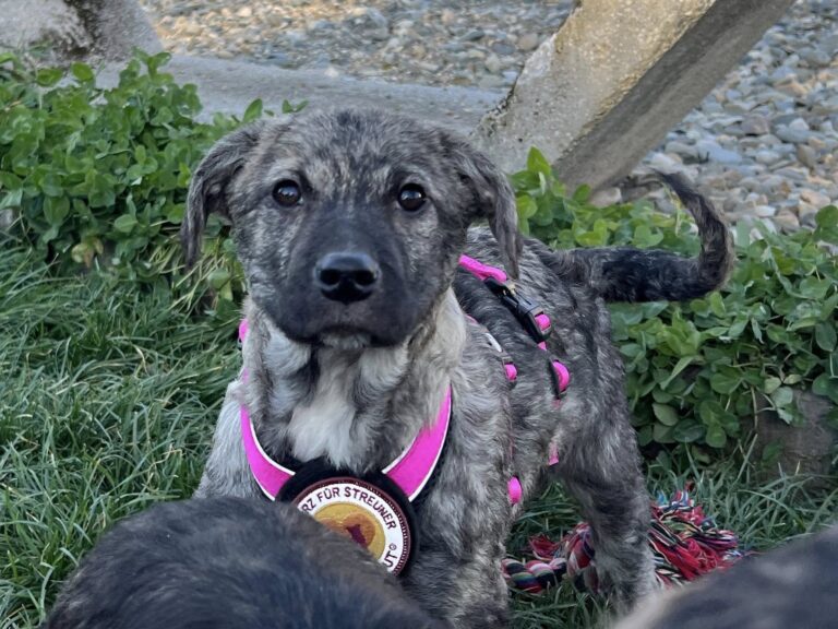 570336628_4101248526791618_4073930519734677250_n