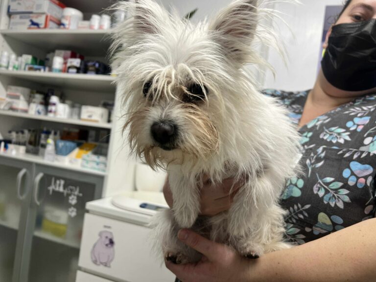 571193059_25218631444442052_6032732820960676091_n