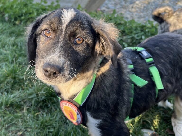 571244871_4101245630125241_1195985401943364163_n