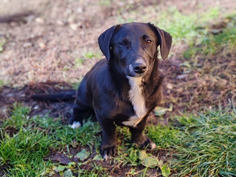 571286943_25037062612597988_3510613251160118352_n