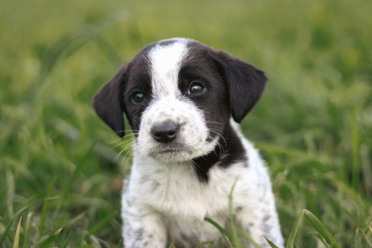 571292263_3149318998579548_3898489105910147533_n