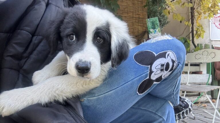 571357577_122218256516122691_5304034229369962962_n