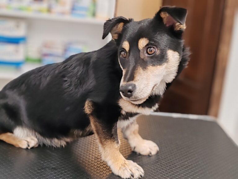 572014718_25083175557986693_4404944942521515299_n