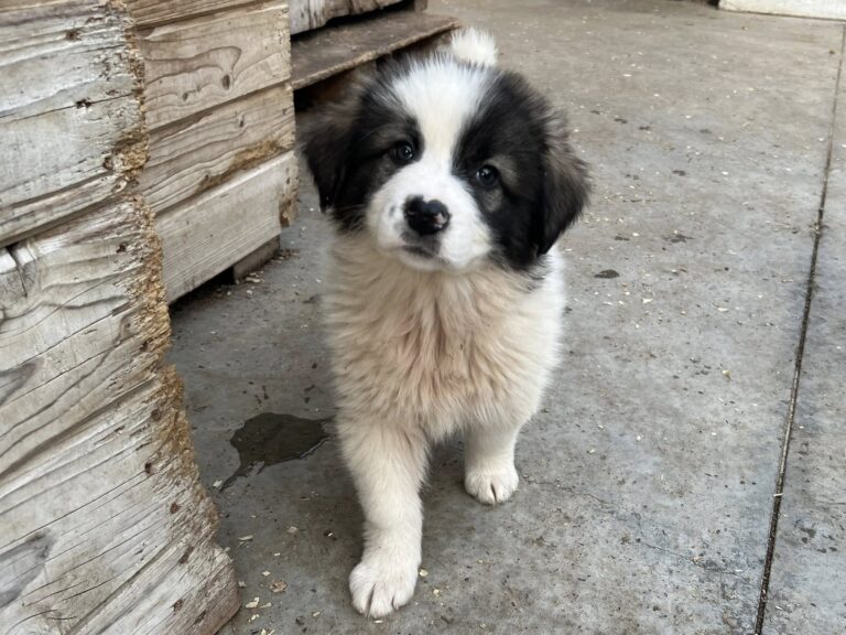 572029320_4103835199866284_6074944327680954427_n