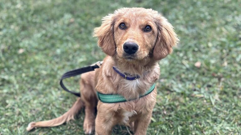 572381472_122218127900122691_3353044501098531574_n