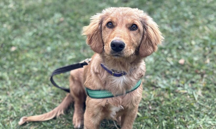 BENNO – reserviert