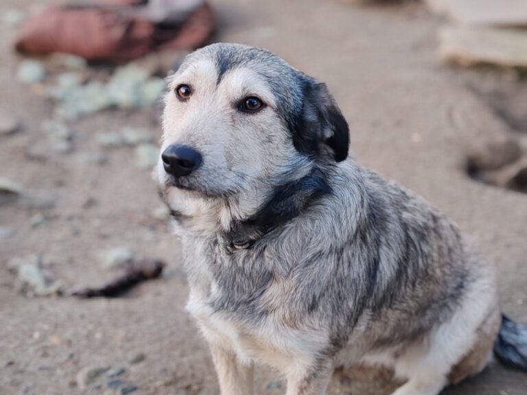 572978950_25086488554322060_548070029305936915_n