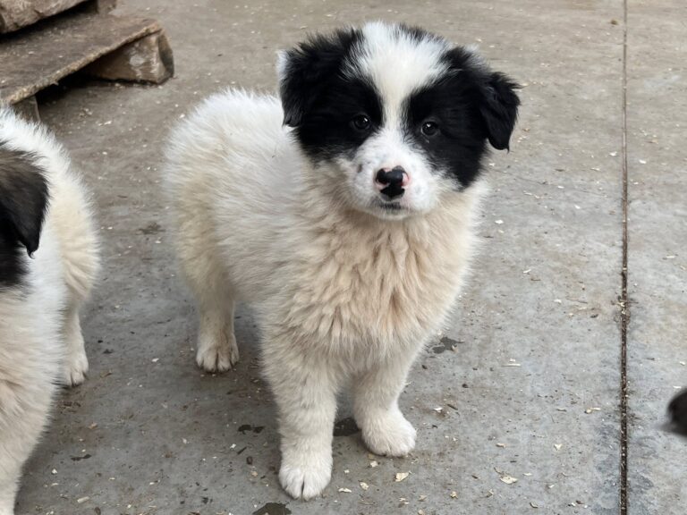 573068270_4103828459866958_7418051647162117468_n