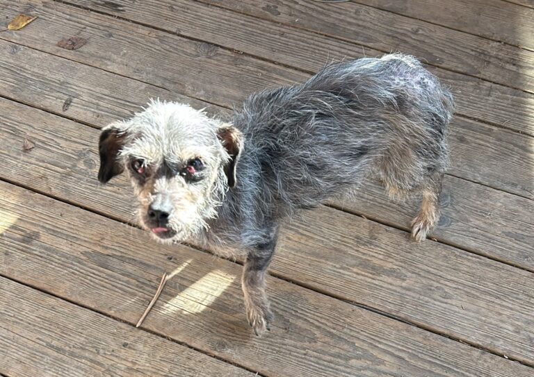 574566056_24165524759789578_7457371185109525420_n