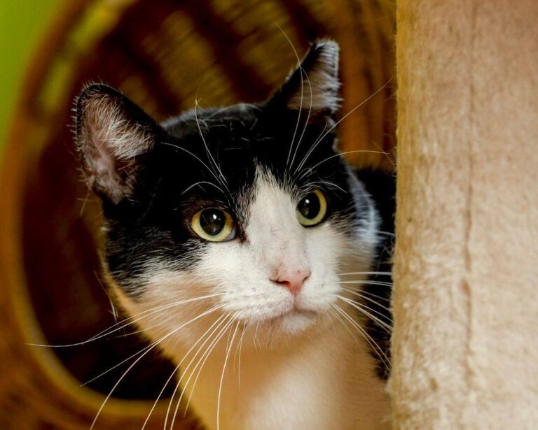 574566806_25618786277728461_4187608531114938747_n