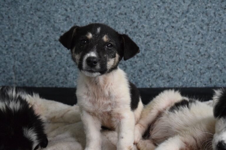 576580840_4108422666074204_1962524906379129533_n