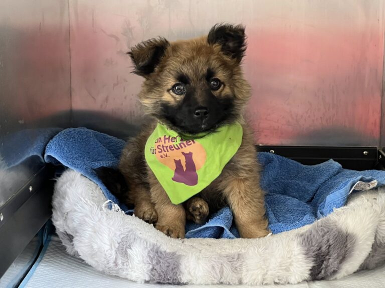 577437964_4111074762475661_4794186315808978930_n