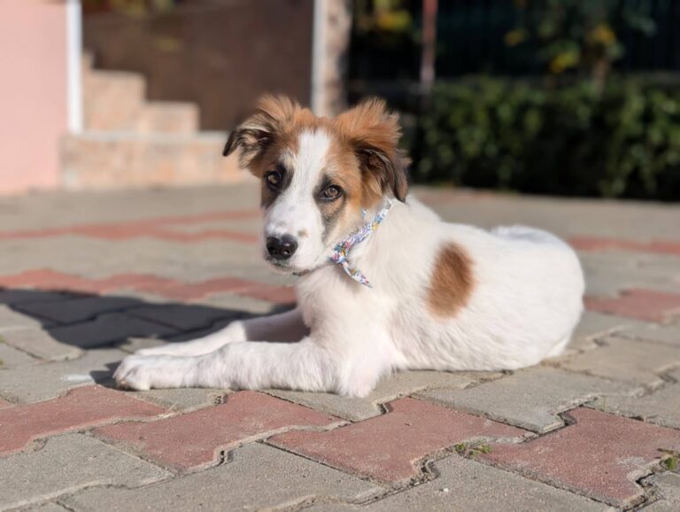 579064624_25020890194270066_8464319533176447968_n